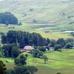 Farm attack leaves female critically injured